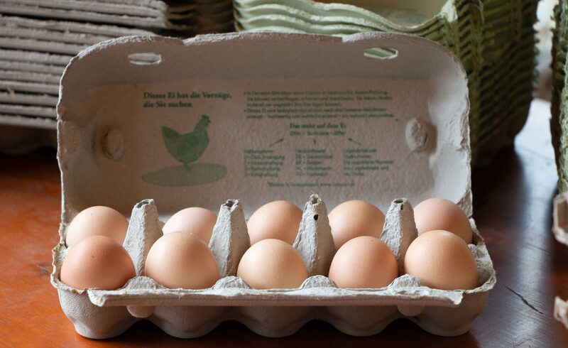 Kükentöten wird verboten – was bedeutet das für Bio-Eier?