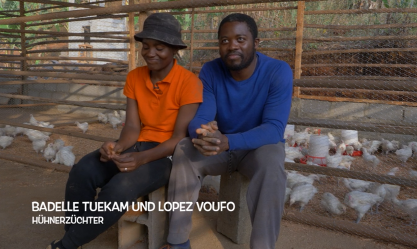 Zweinutzungshühner in Kamerun